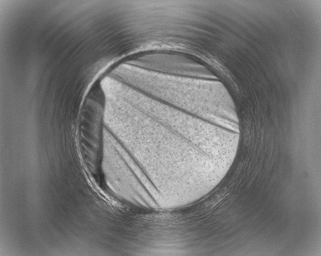 X0000052930896200508050826