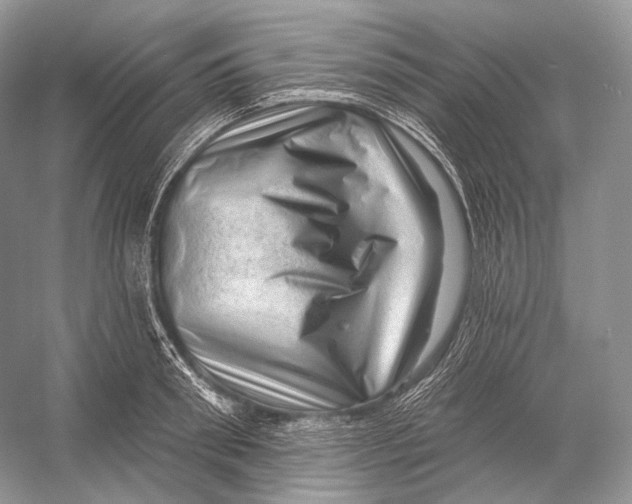 X0000052930898200508050826