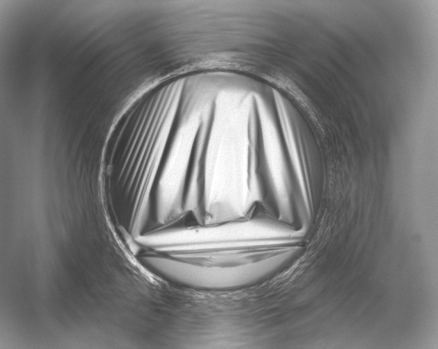 X0000052930902200508050826