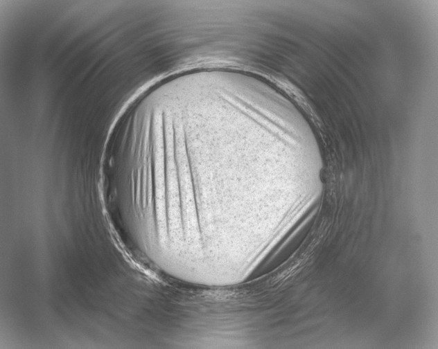 X0000052930904200508050826