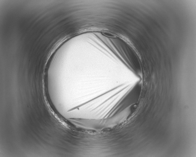 X0000052930906200508050826