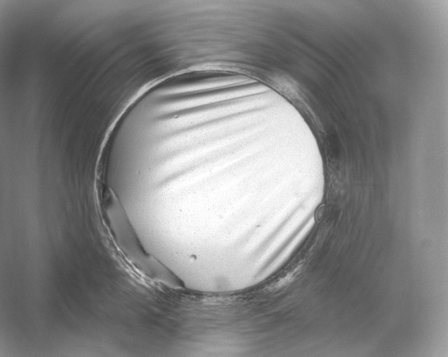 X0000052930908200508050826