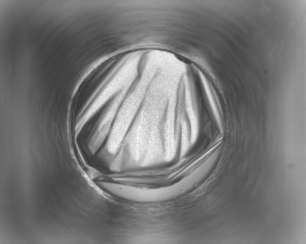 X0000052930910200508050826