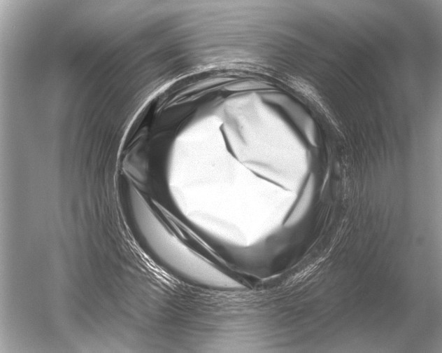 X0000052930924200508050825
