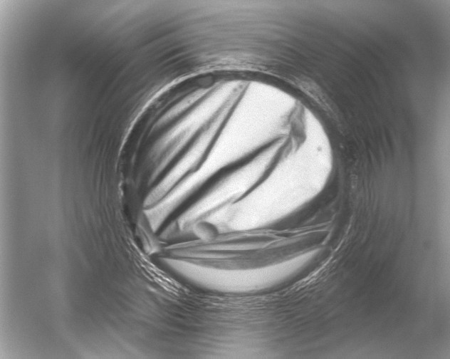 X0000052930926200508050825