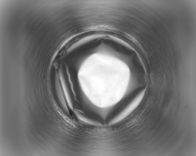 X0000052930931200508050826