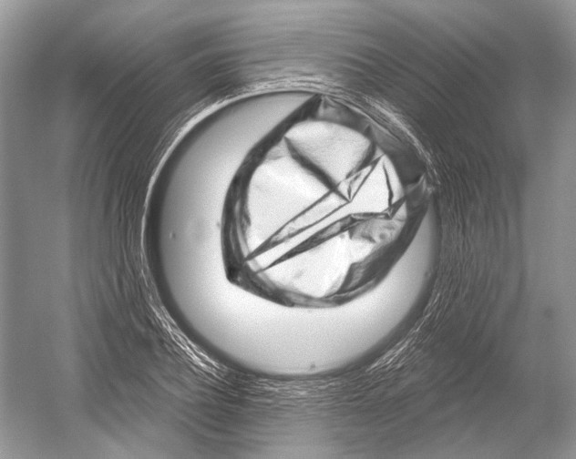 X0000052930932200508050826