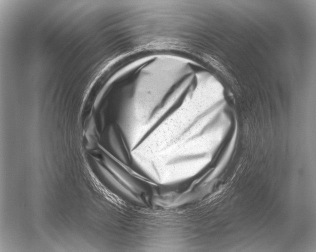 X0000052930934200508050826