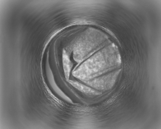 X0000052930935200508050826