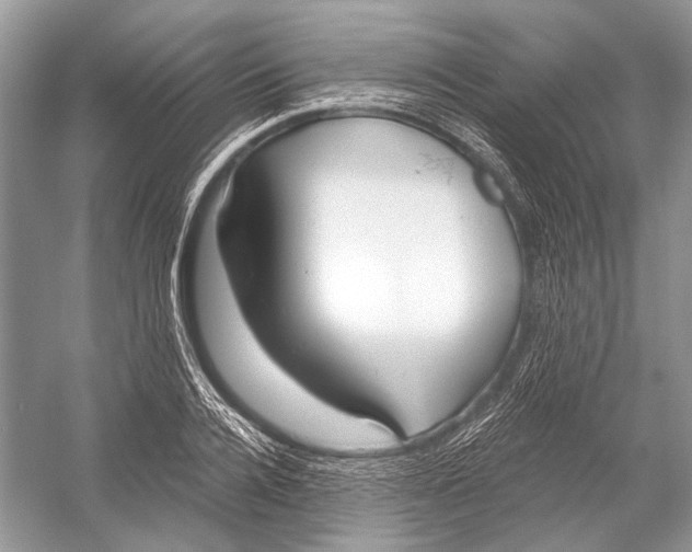 X0000052930936200508050826