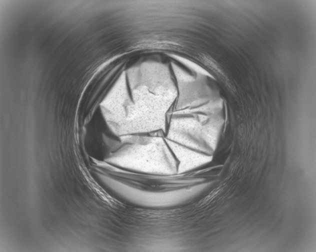 X0000052930940200508050826