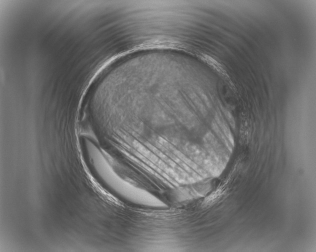 X0000052930942200508050826