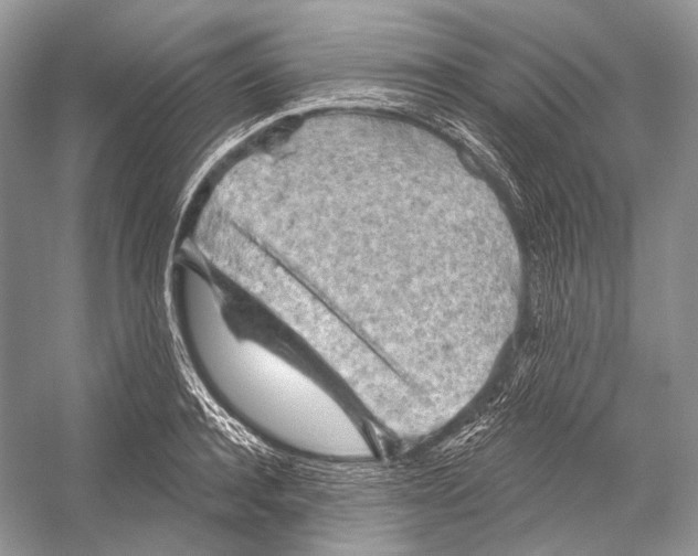 X0000052930944200508050826