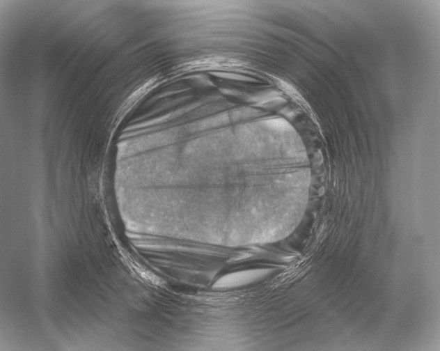 X0000052930946200508050826