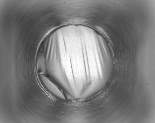 X0000052930948200508050826