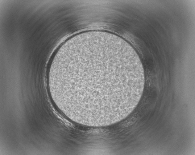 X0000052930950200508050826