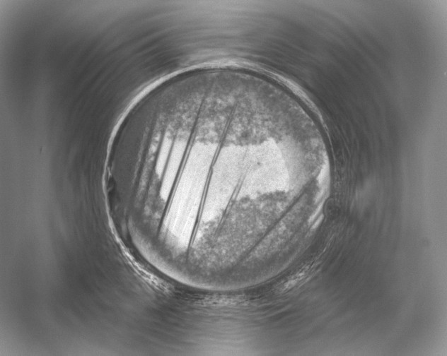 X0000052930951200508050826