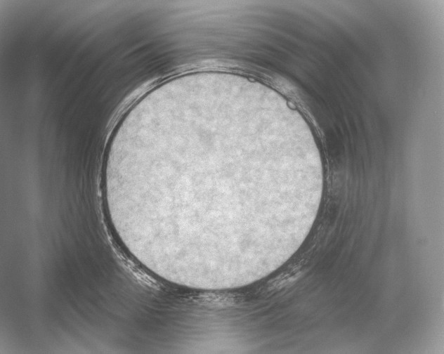 X0000052930954200508050826