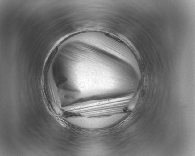 X0000052930956200508050826