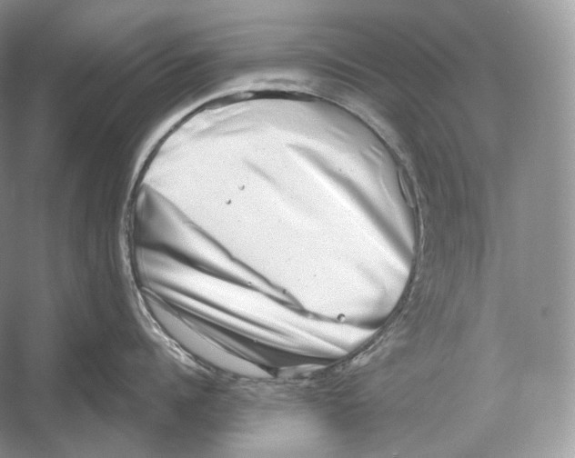 X0000052930960200508050826