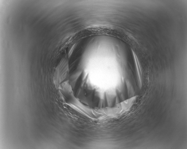 X0000052930965200508050825