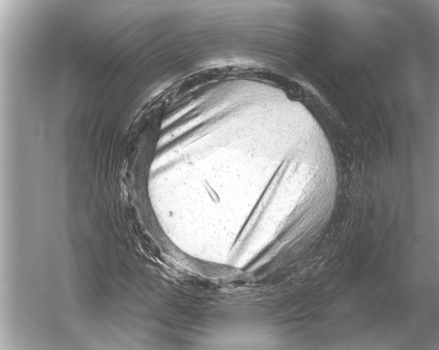 X0000052930967200508050825