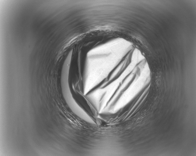 X0000052930968200508050825