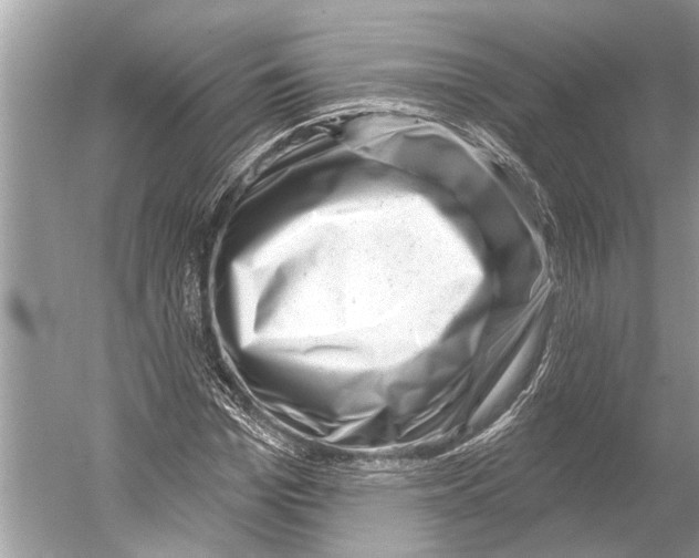 X0000052930969200508050825