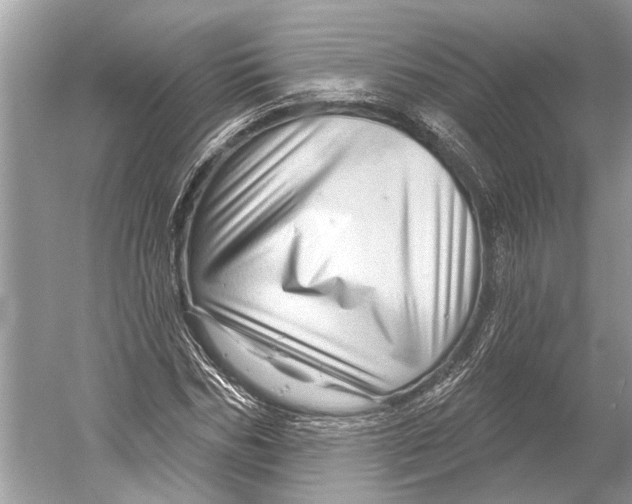 X0000052930970200508050825