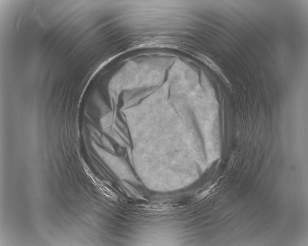 X0000052930980200508050825