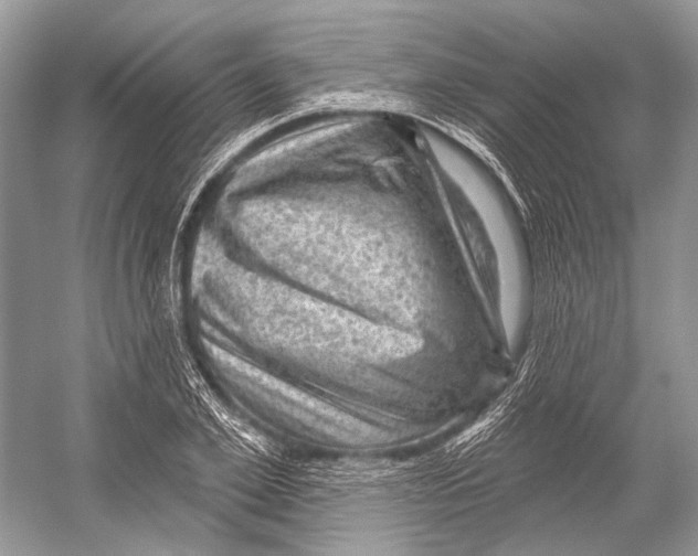 X0000052930981200508050825