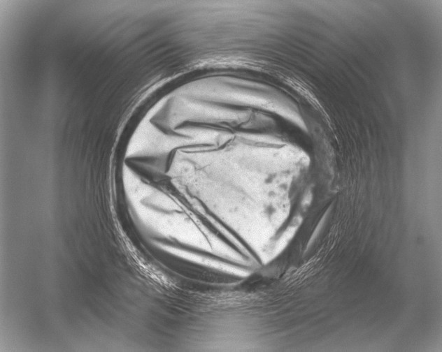 X0000052930984200508050825