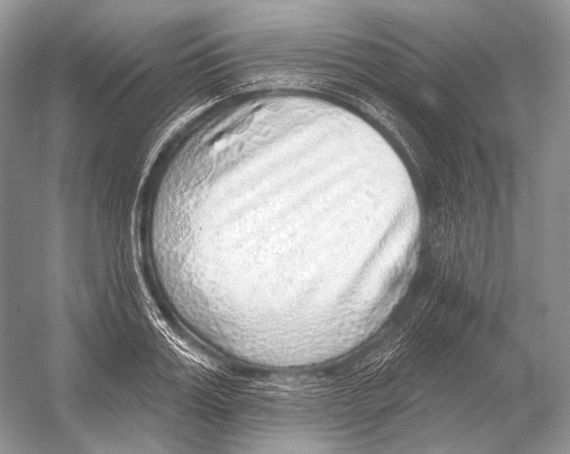 X0000052930987200508050825