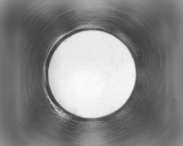 X0000052930988200508050825