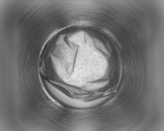 X0000052930989200508050825