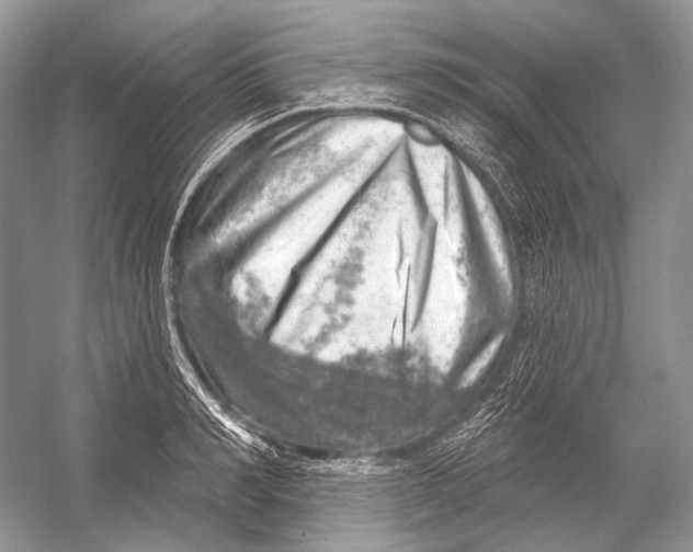 X0000052930990200508050825