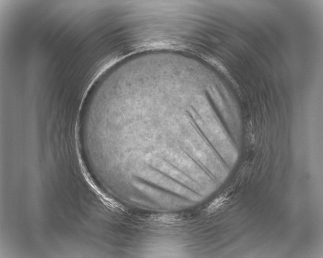 X0000052930991200508050825