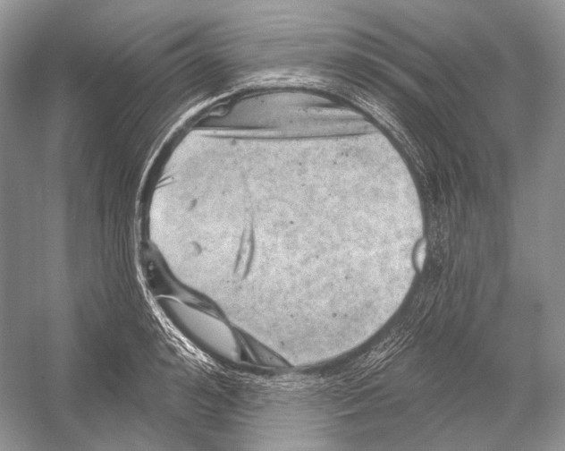 X0000052930992200508050825