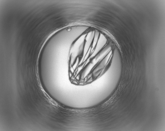 X0000052930996200508050825