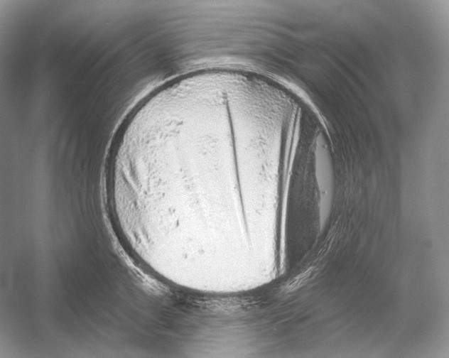 X0000052930999200508050825
