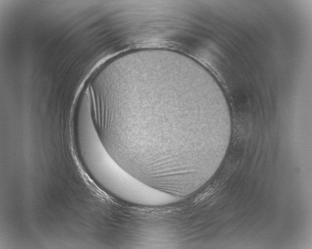 X0000052931000200508050825