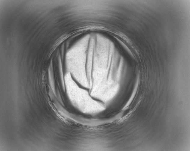 X0000052931001200508050825