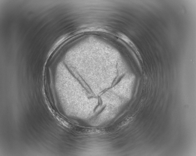 X0000052931002200508050824