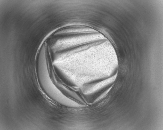 X0000052931004200508050824