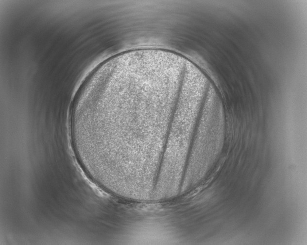 X0000052931006200508050824