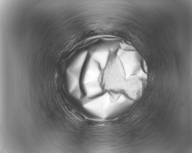 X0000052931012200508050824