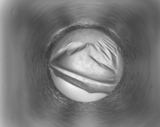 X0000052931016200508050824