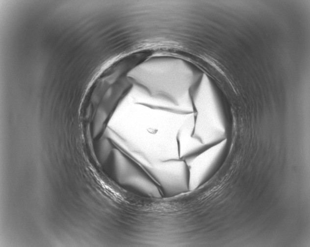 X0000052931022200508050824