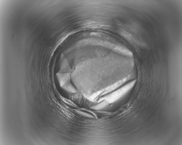 X0000052931023200508050824