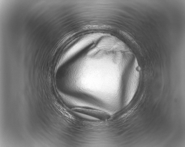 X0000052931025200508050824